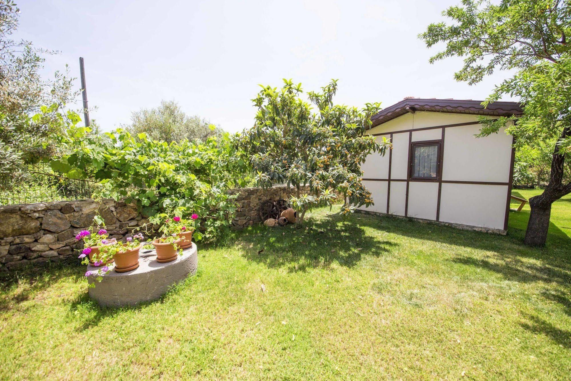 Bal Badem Bungalow ダッチャ エクステリア 写真